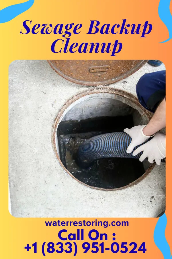 Sewage Backup Cleanup in Slater, IA